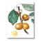 Designart - Vintage Fruits II - Farmhouse Canvas Wall Art Print